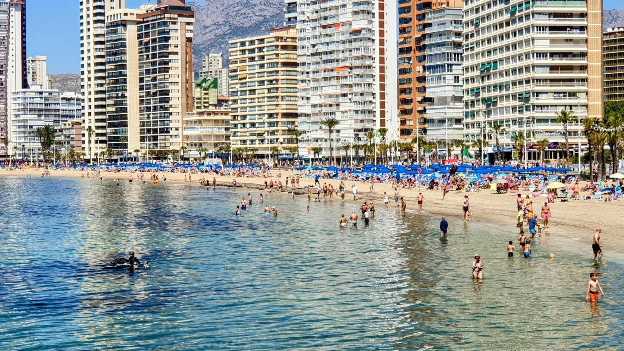 Apartamento Maysan If Benidorm Zewnętrze zdjęcie